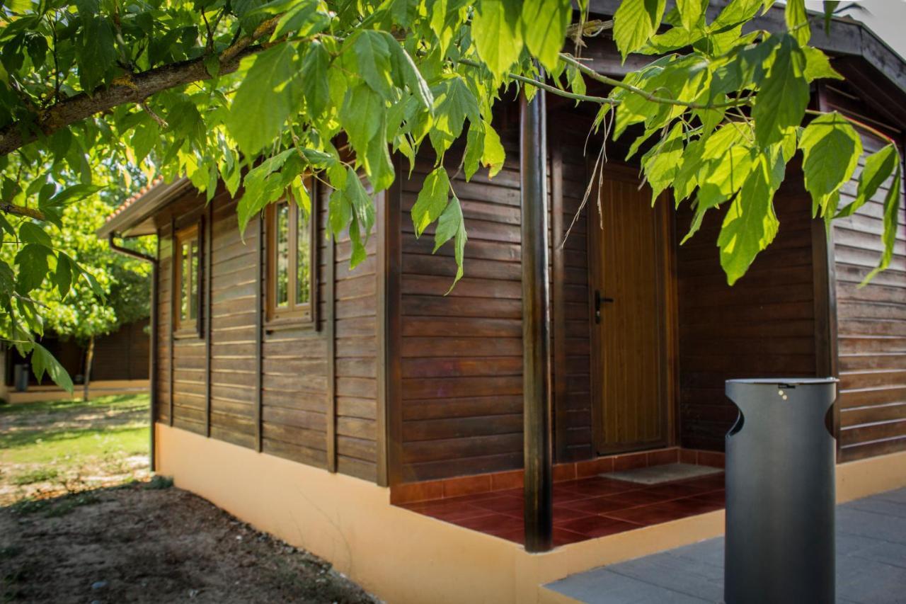 Xisto Camping Janeiro de Baixo Εξωτερικό φωτογραφία