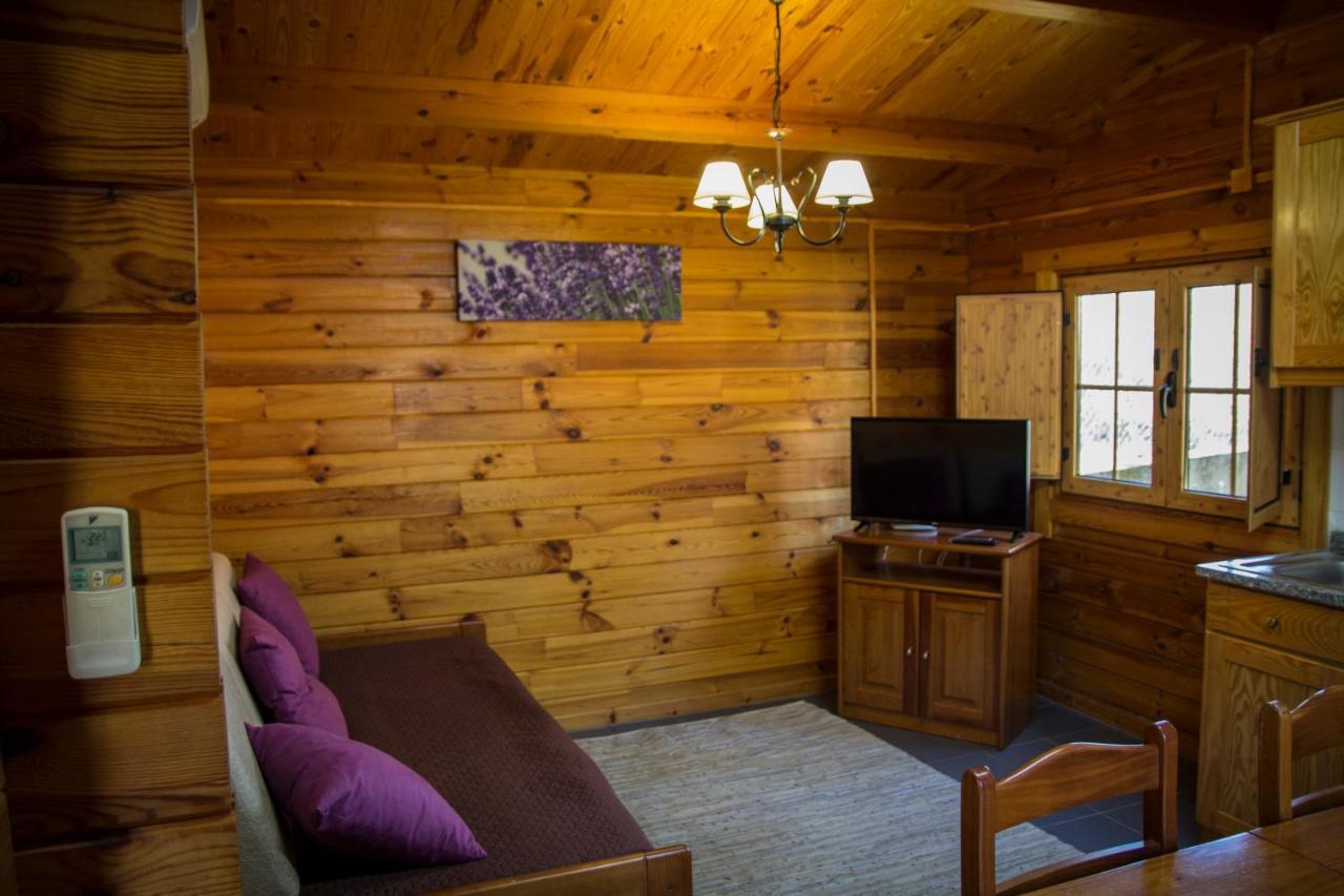 Xisto Camping Janeiro de Baixo Εξωτερικό φωτογραφία