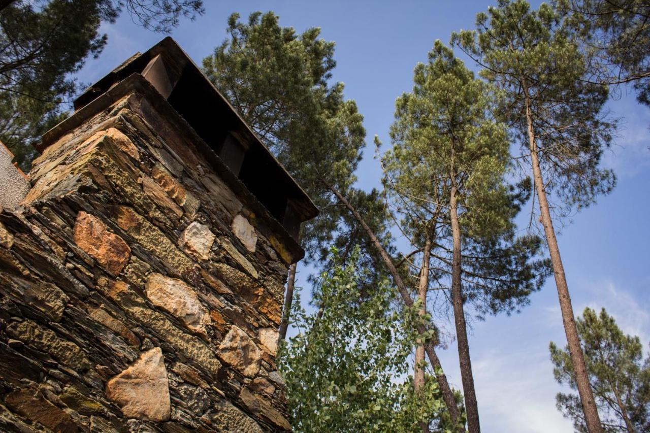 Xisto Camping Janeiro de Baixo Εξωτερικό φωτογραφία