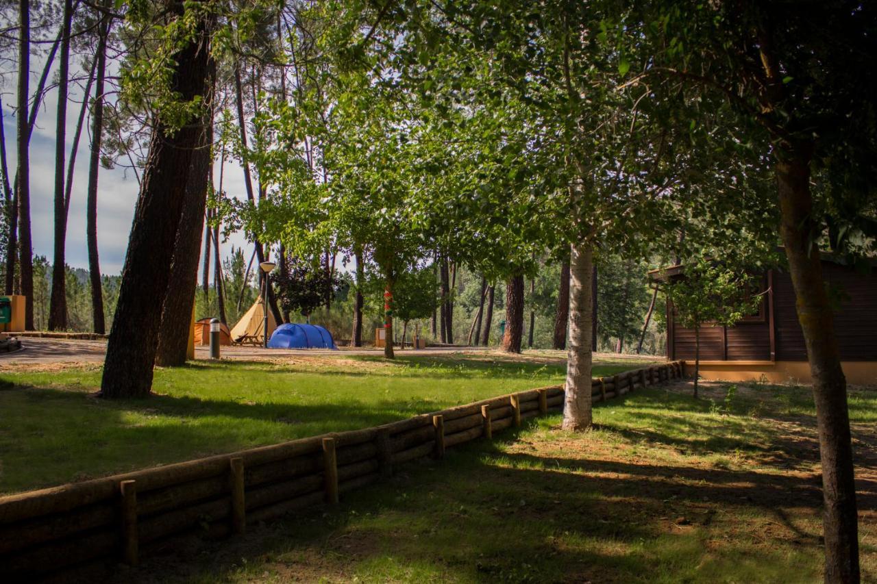 Xisto Camping Janeiro de Baixo Εξωτερικό φωτογραφία