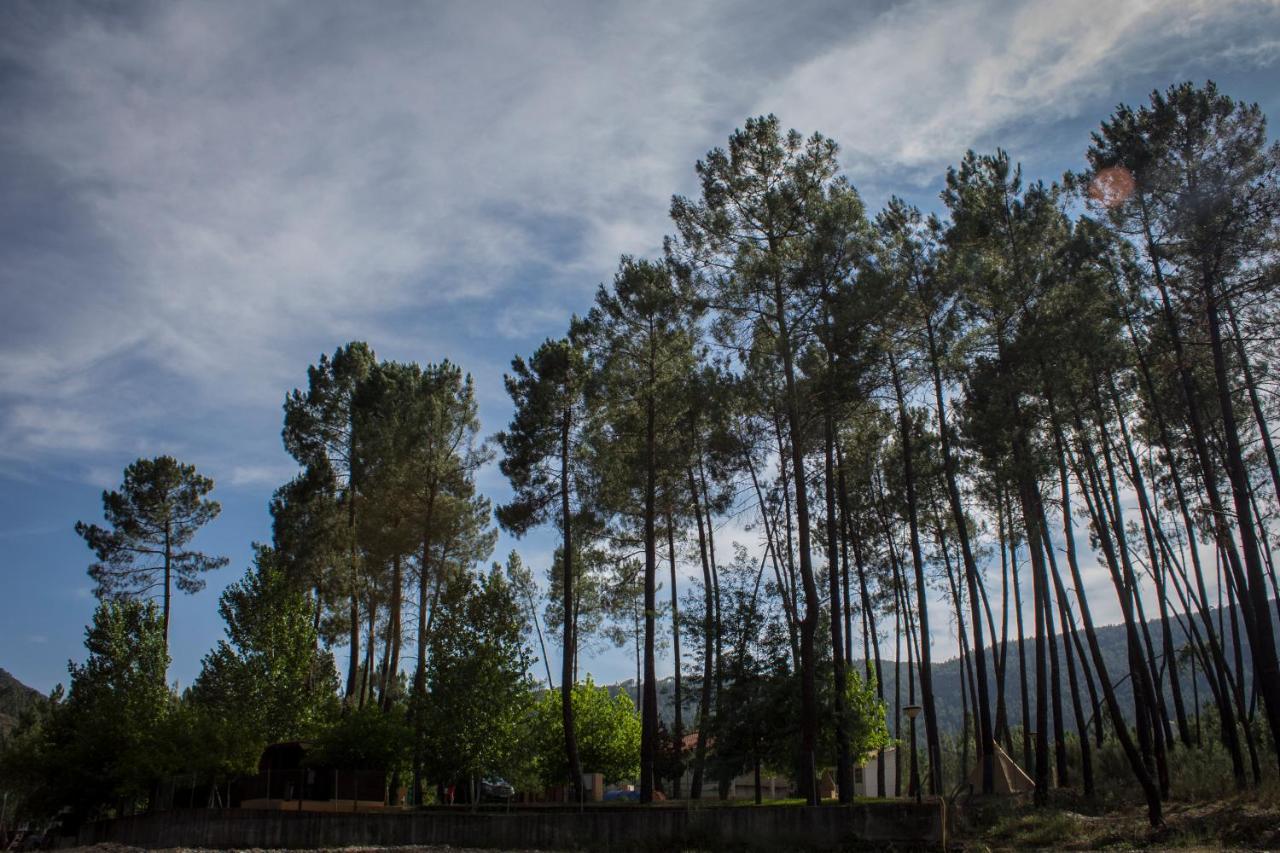 Xisto Camping Janeiro de Baixo Εξωτερικό φωτογραφία
