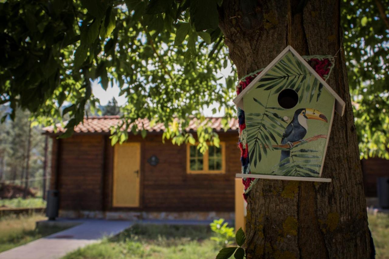 Xisto Camping Janeiro de Baixo Εξωτερικό φωτογραφία