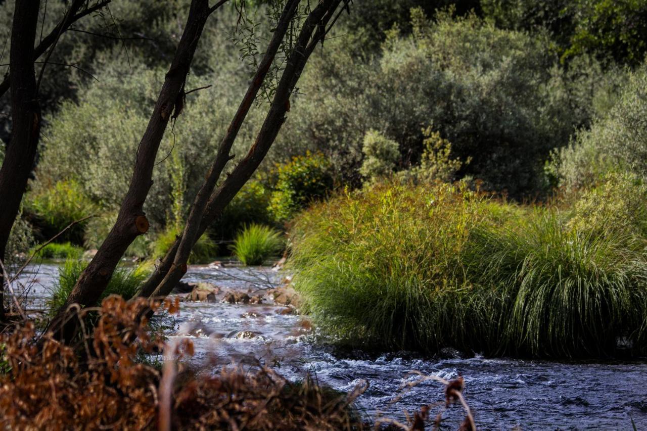 Xisto Camping Janeiro de Baixo Εξωτερικό φωτογραφία